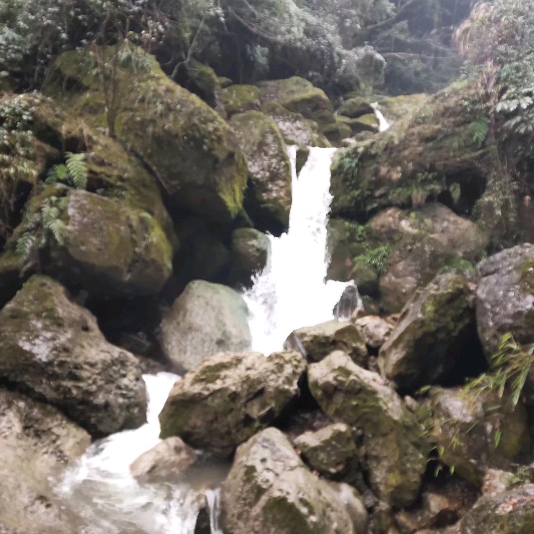 💗ℒℴѵℯ白开水⁵²⁰℘࿐