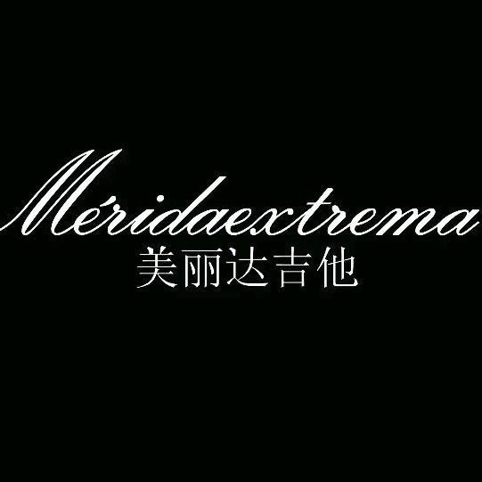 Meridaextrema美丽达乐器专卖店