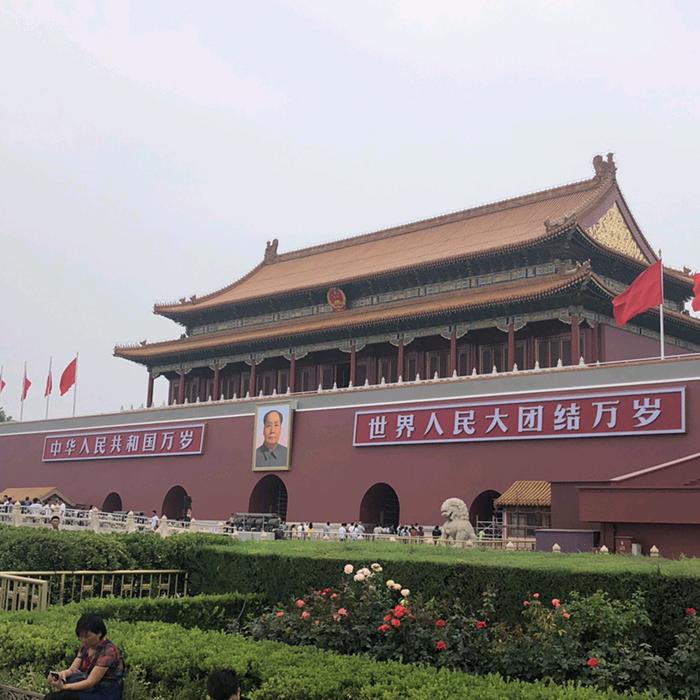 yang楊🇨🇳
