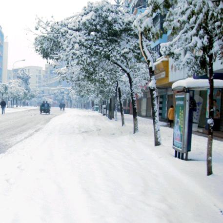 雪花飛