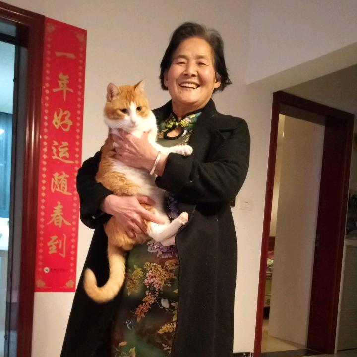 何安琼
