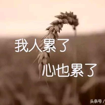 一生所爱