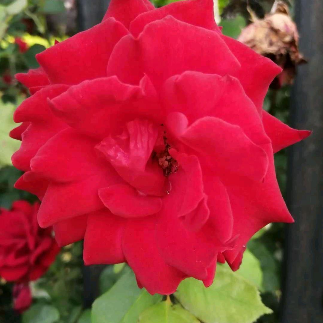 我们都是追梦人。