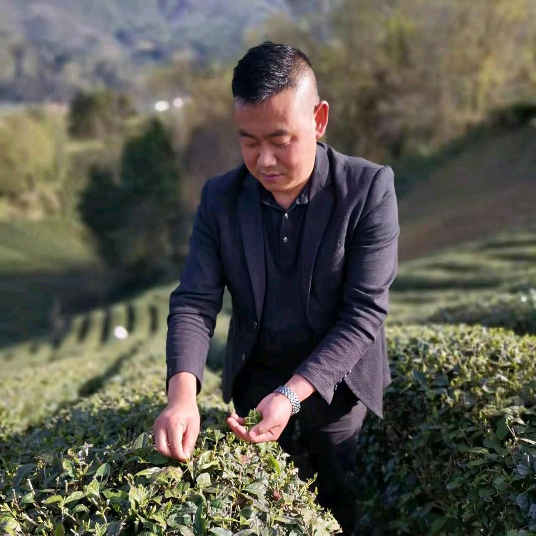 人在茶乡！