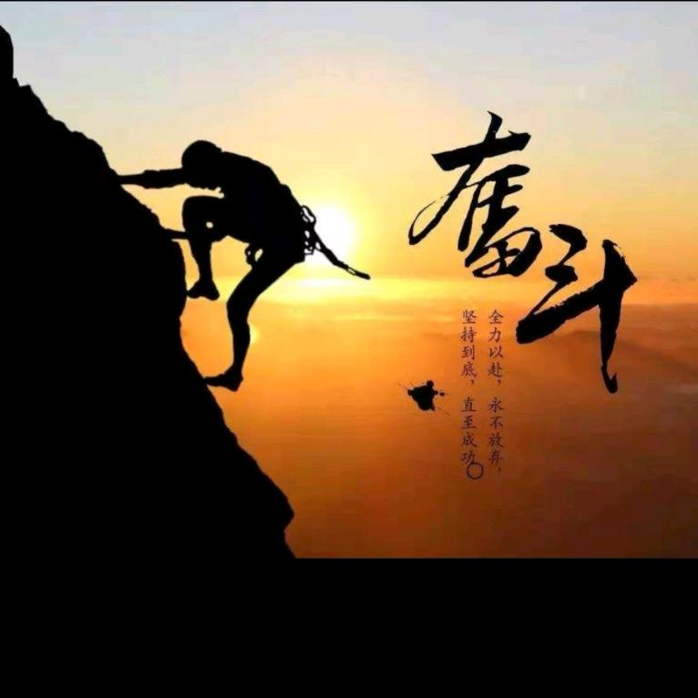 奋斗y