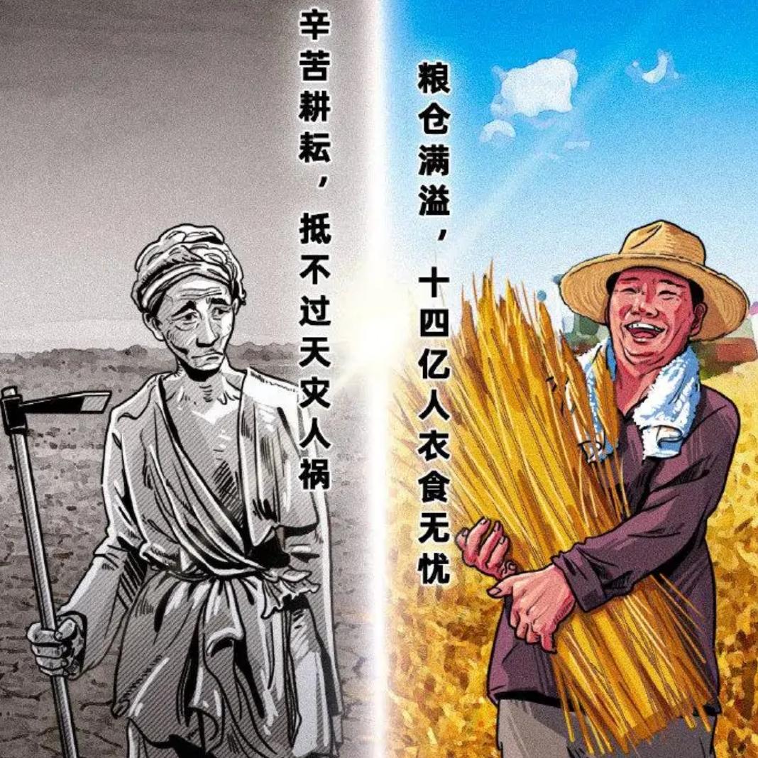 农村小哥