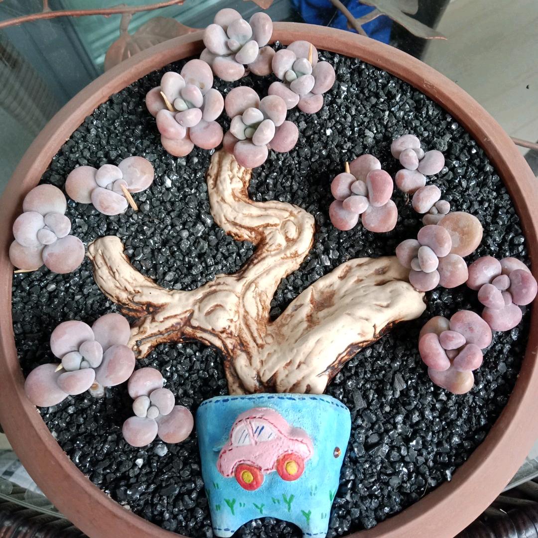 假装不帅