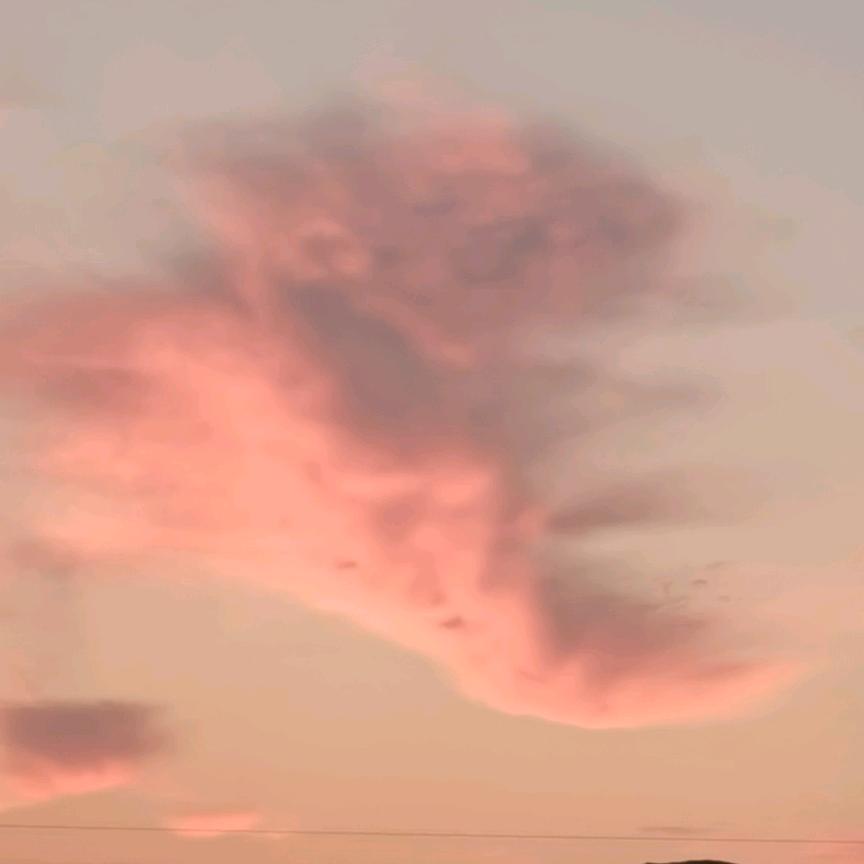 ℡岁月如歌