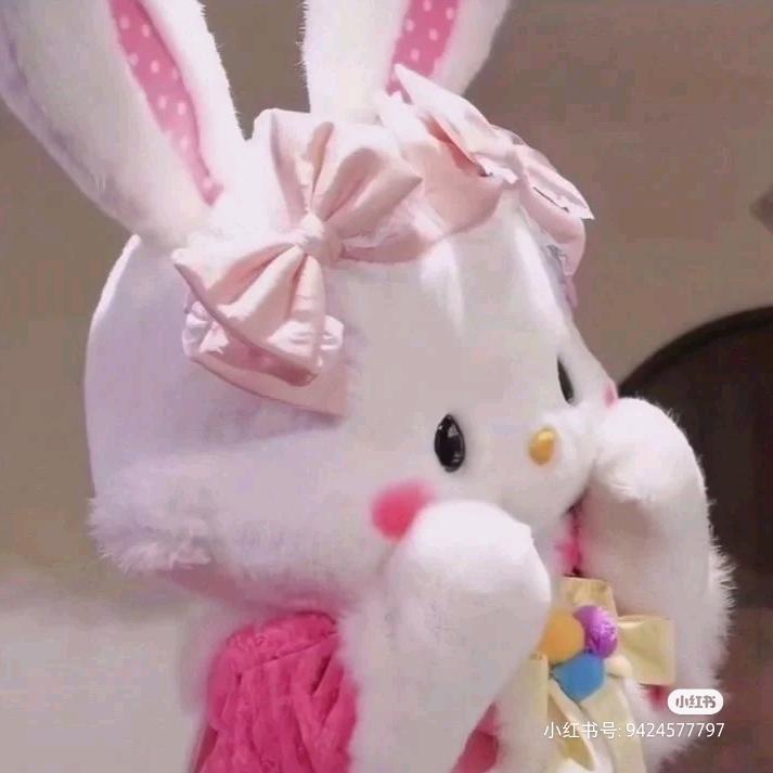 🌈一个幸运小兔🐰🍓🌈