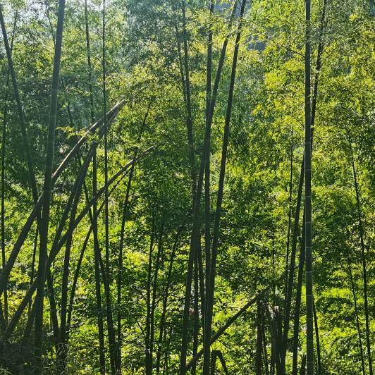 向钱看，向厚赚头像