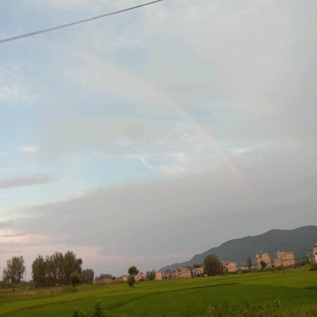 风雨哥