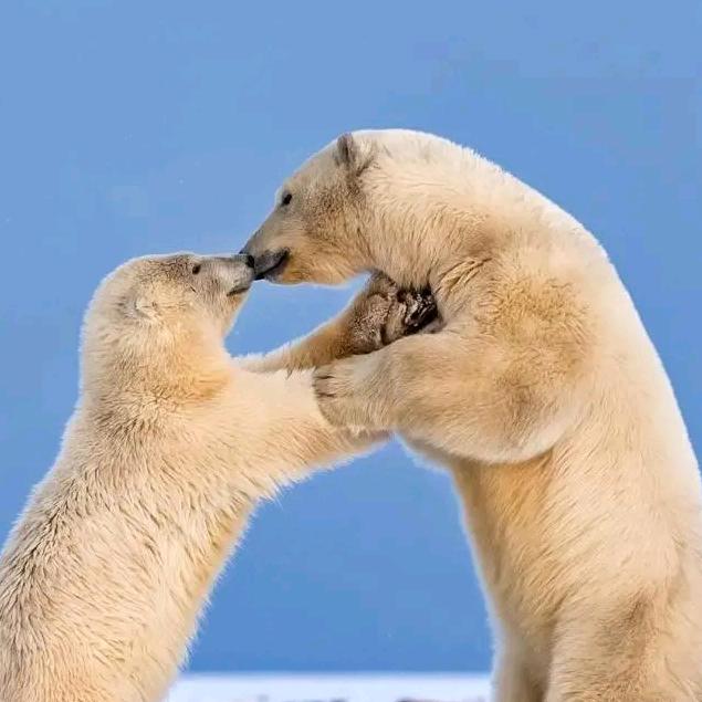 八月哥超帅☺萬袁