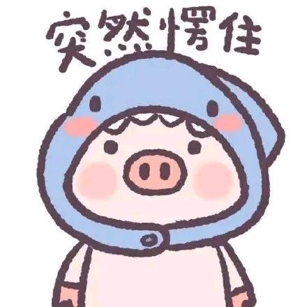 不知道该叫啥