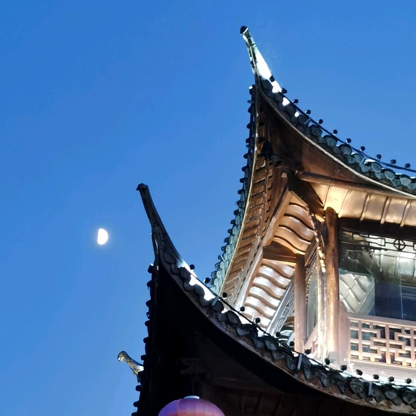 踏浪归来2022
