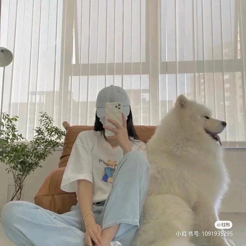 小龙包
