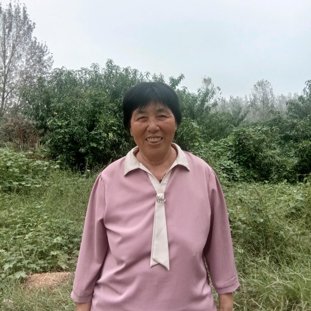 农村好大姐