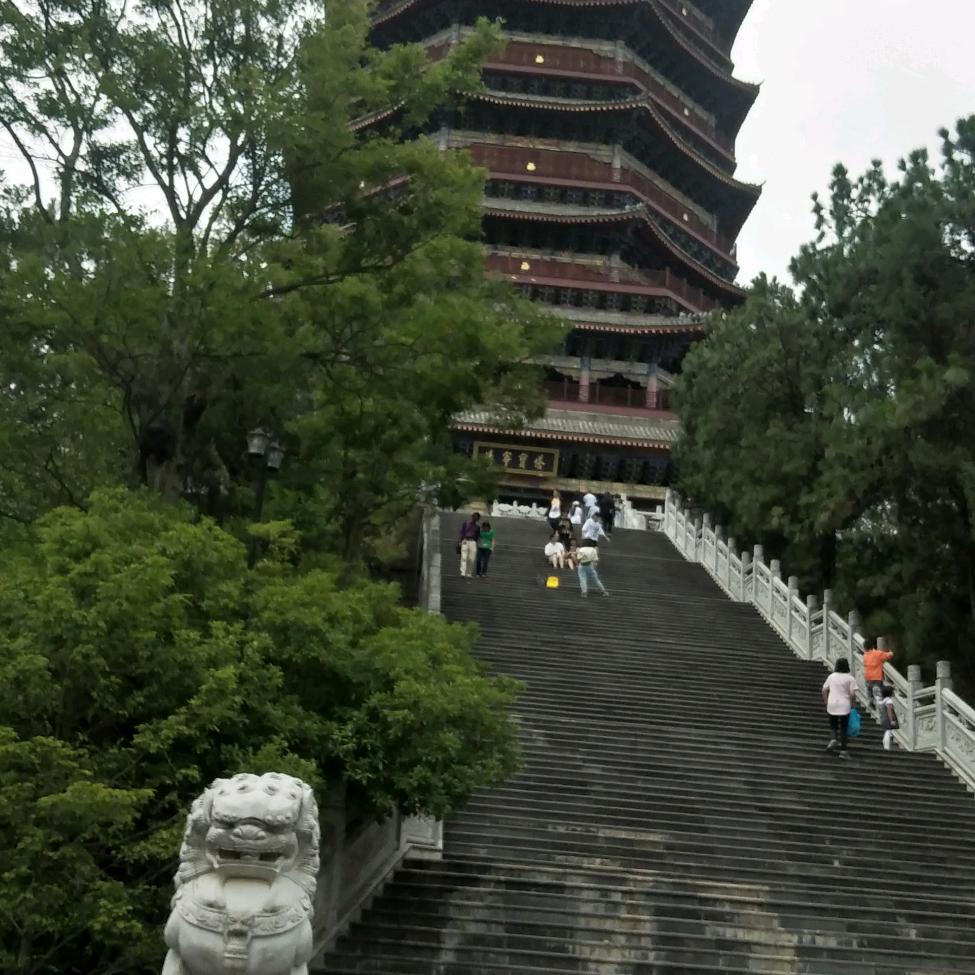 断情🍓戒爱(⑉°з°)-♡