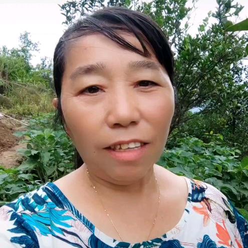 何大姐