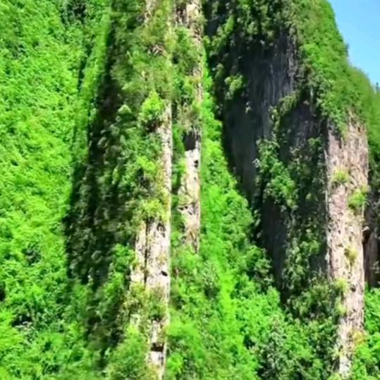 雄鹰畅游飞翔，