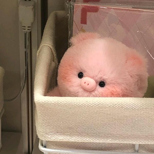 ChubbyBuddy头像