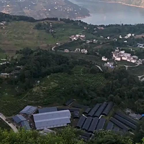 专业承接内墙抹灰