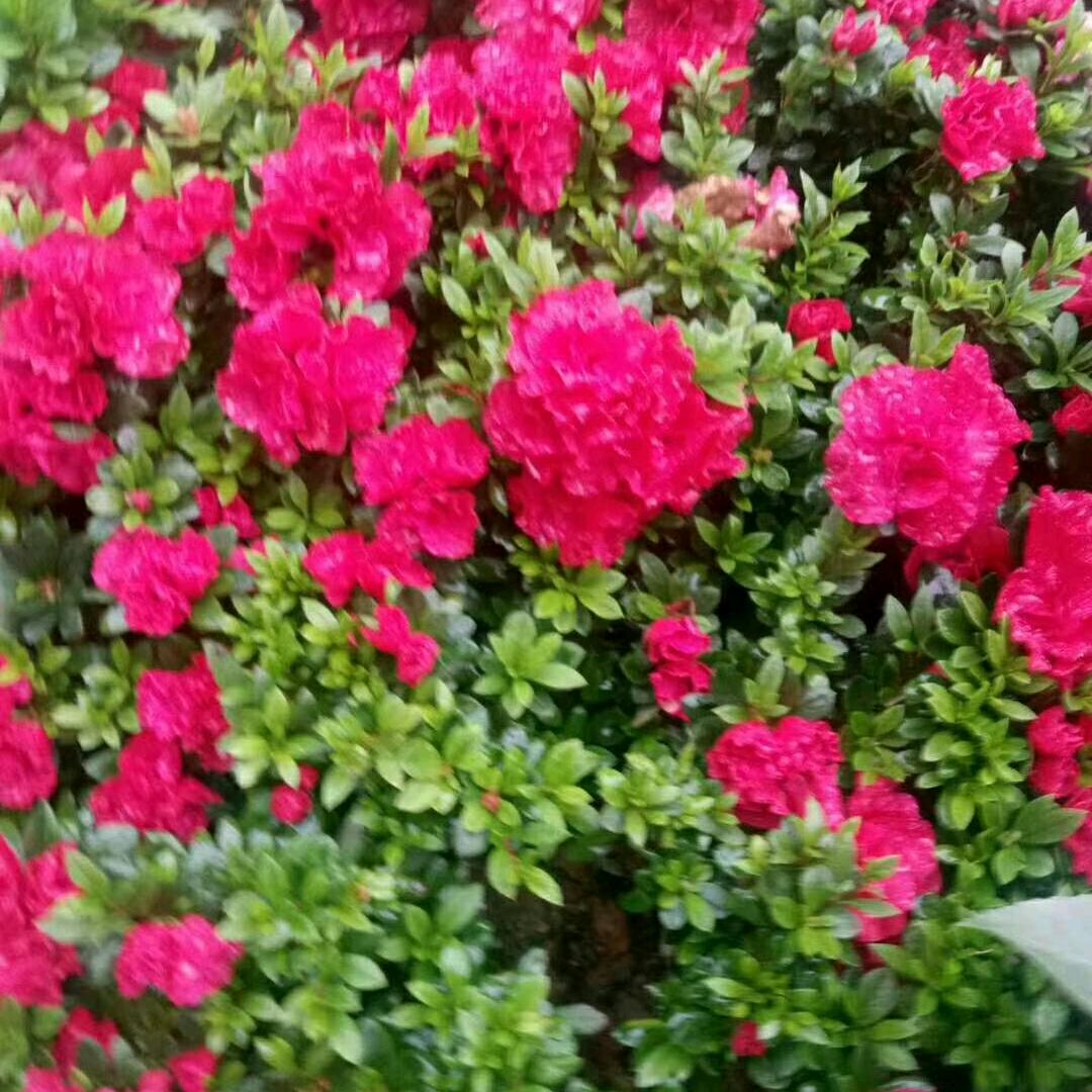 用户16418526818494444-