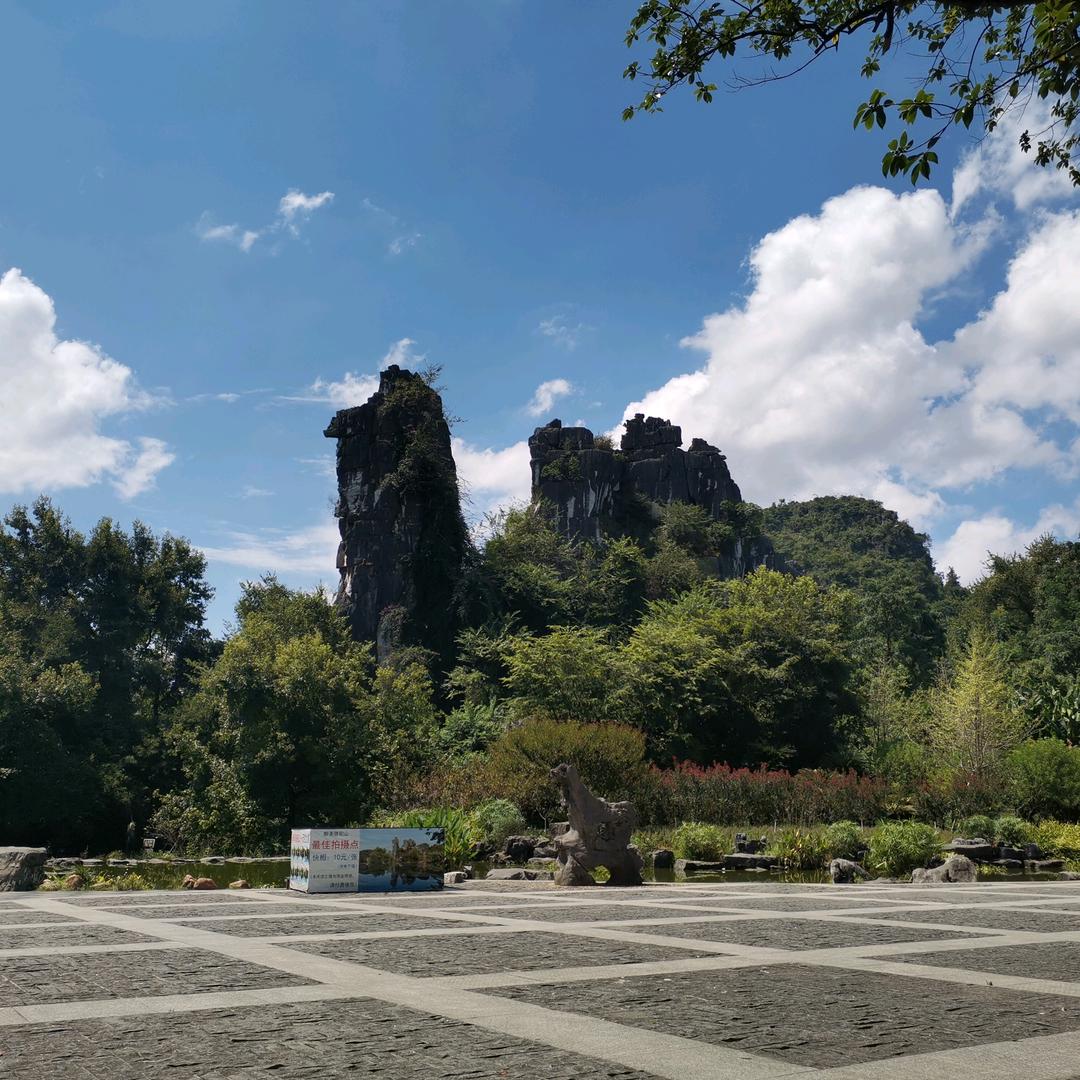 春风依旧