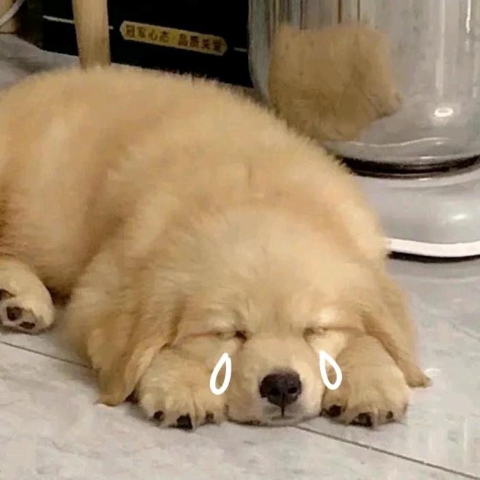 再吃亿小口