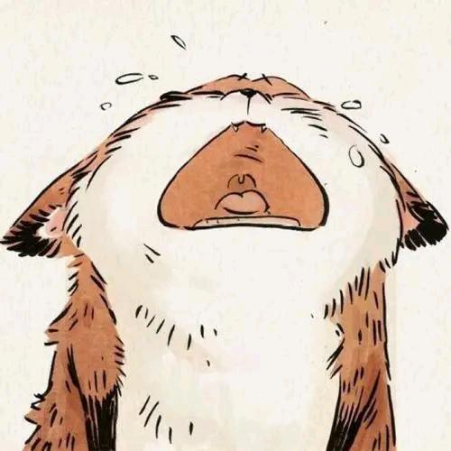 桃夭♥