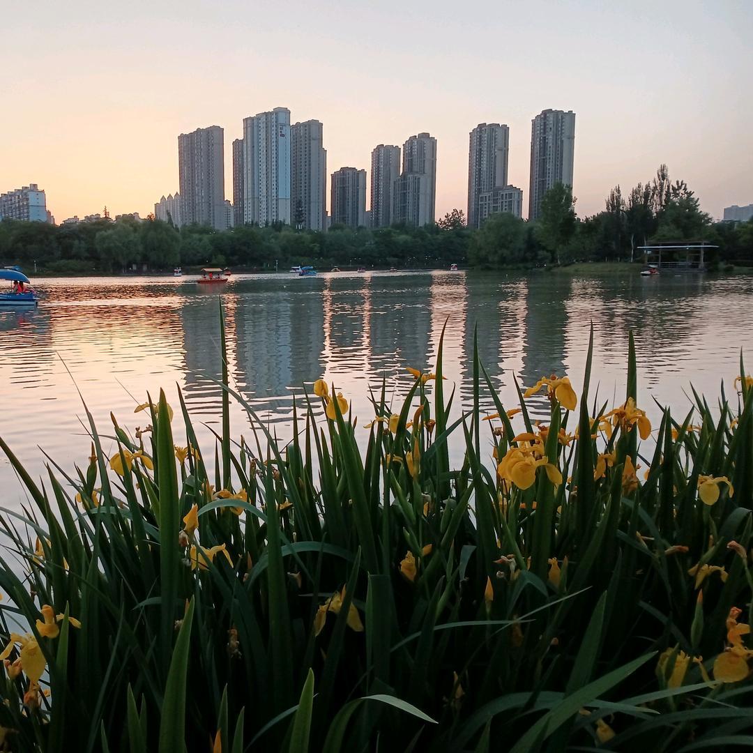 宇恒大件物流运输