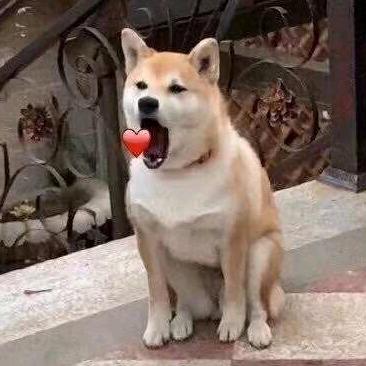 大傻