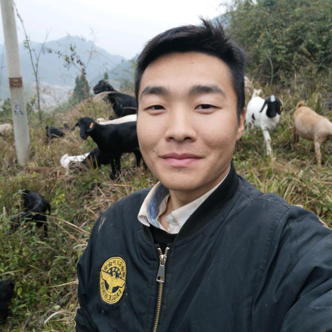放羊的春林