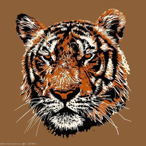 相信未来，不是梦