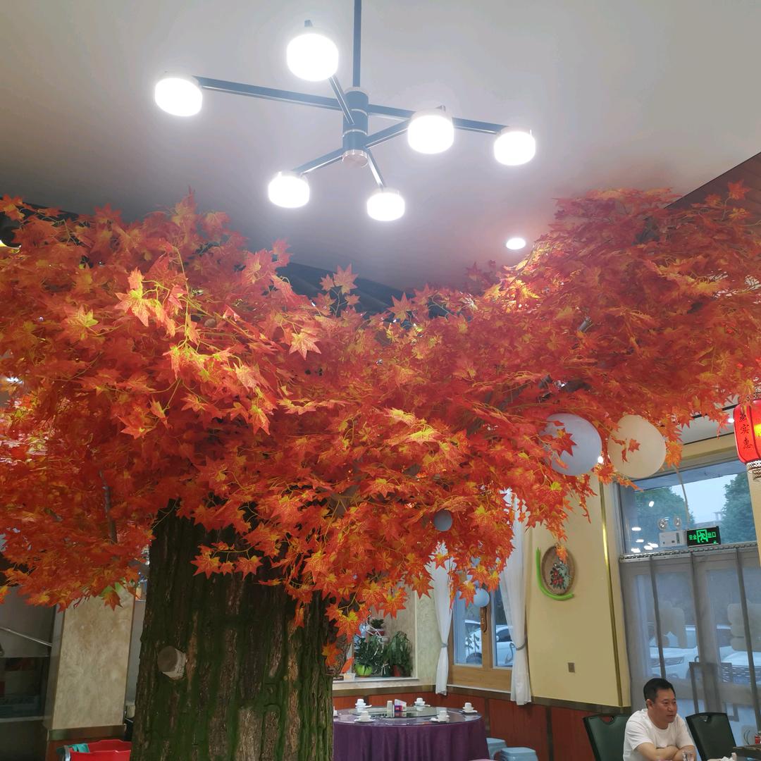 甘肃文县木工赵师