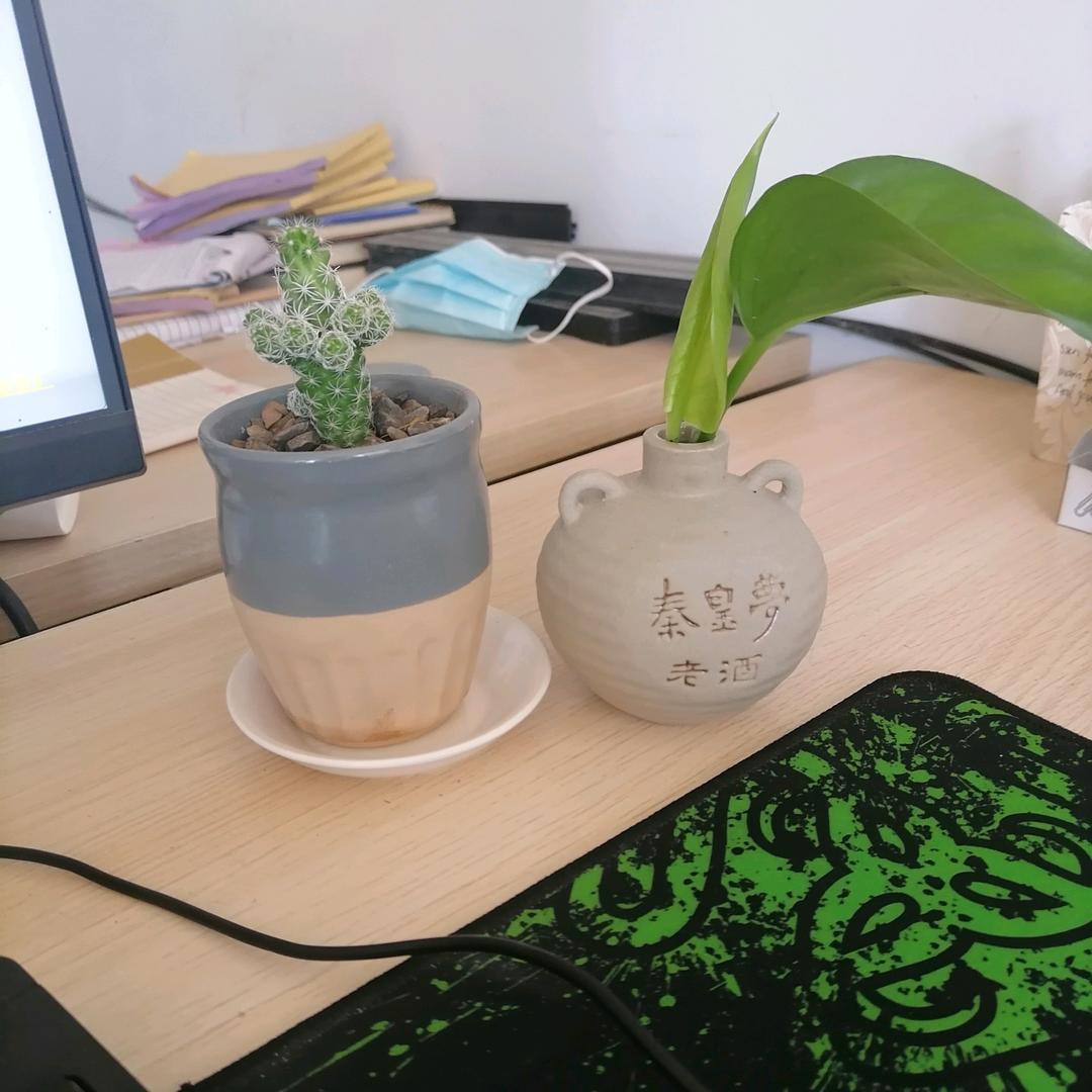 爱妃