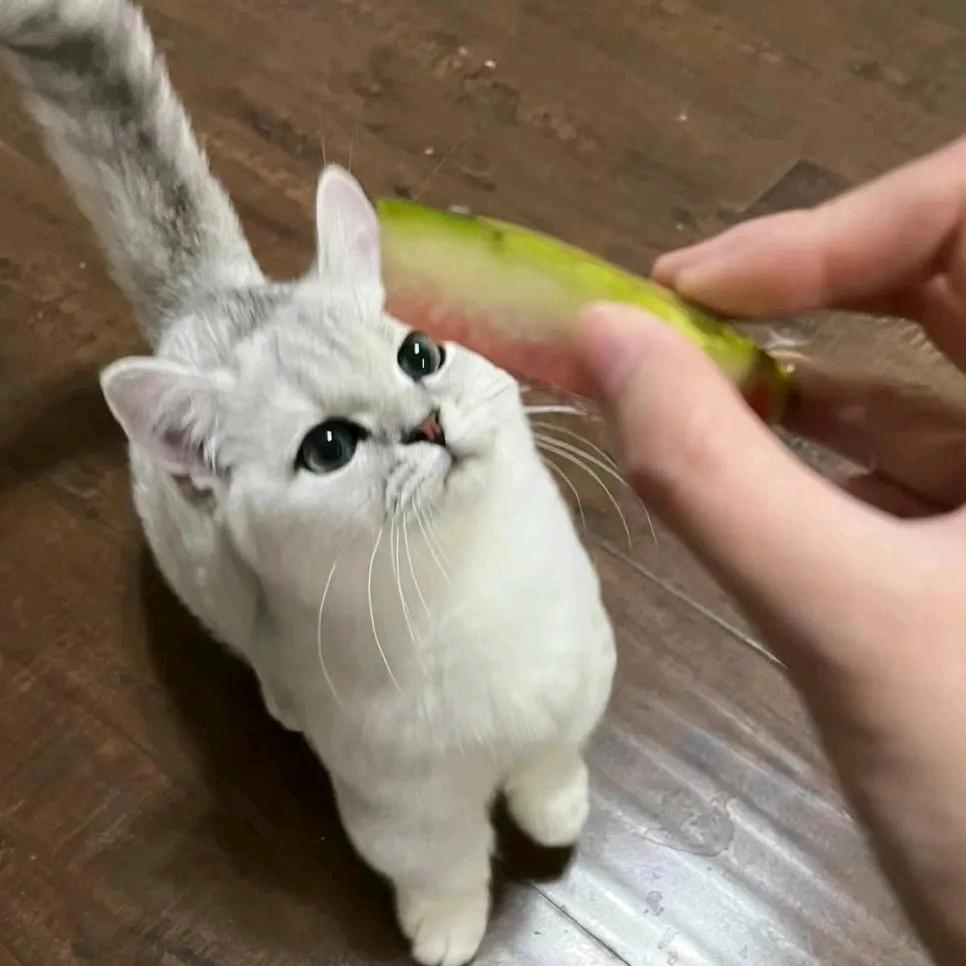 草莓菠萝酱