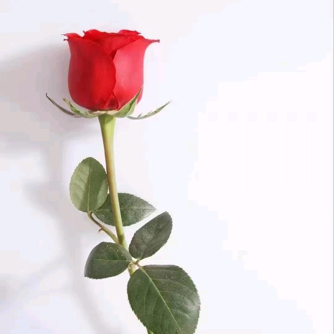 ！秋叶销魂～