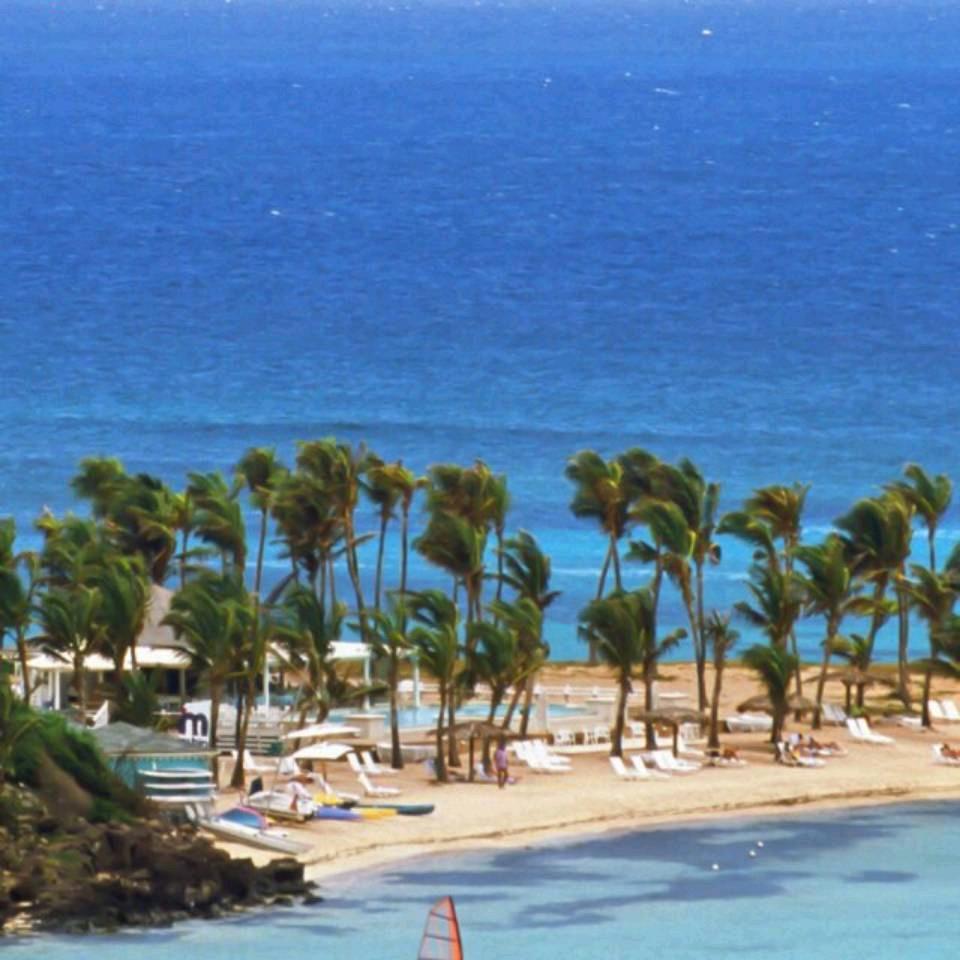 大猫科普菌@抖音