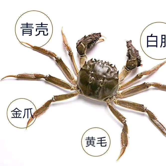 垦利区黄氏水产养殖专业合作社