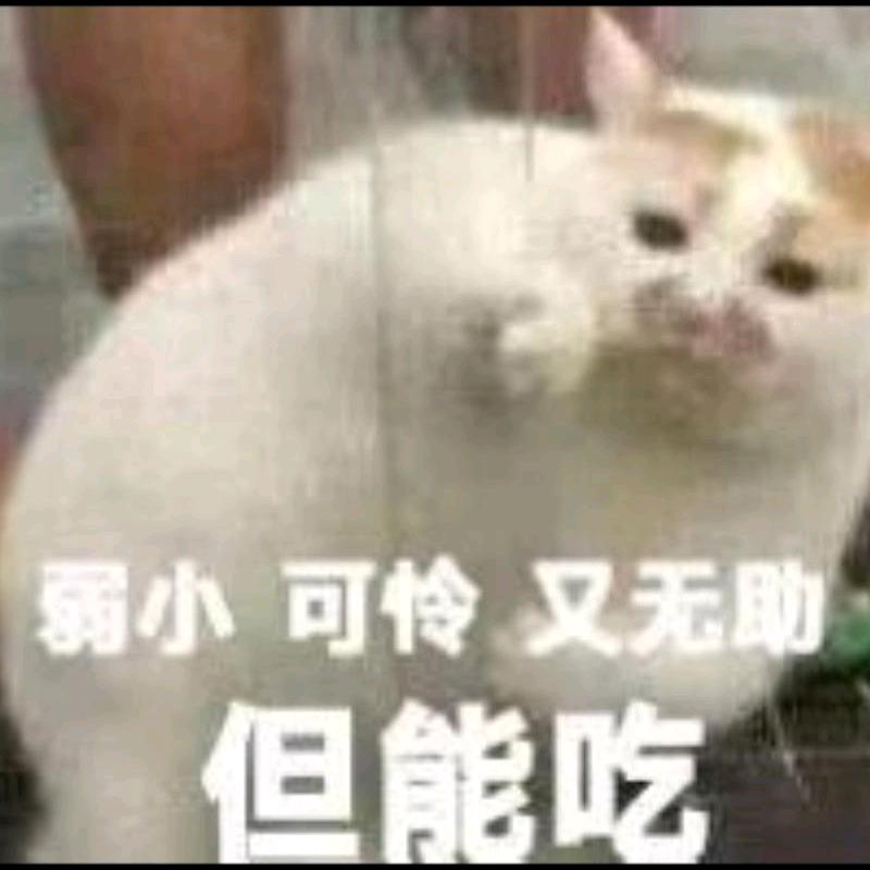 龘墨