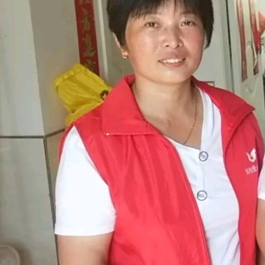 小燕子