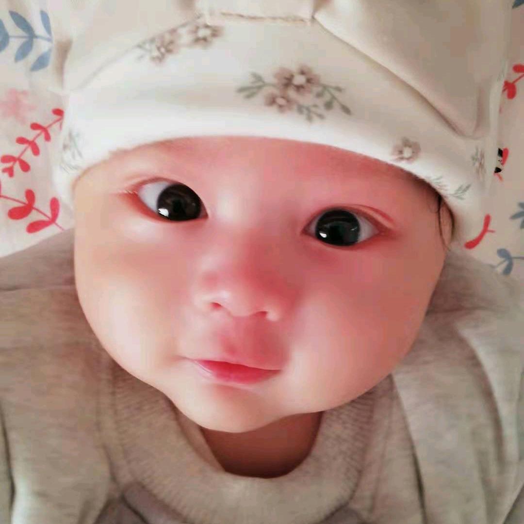 晋