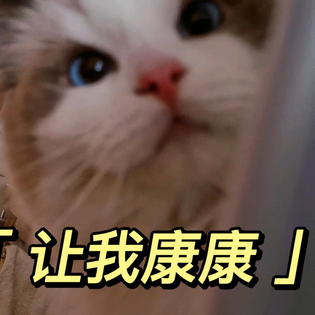 今年一定汪女士