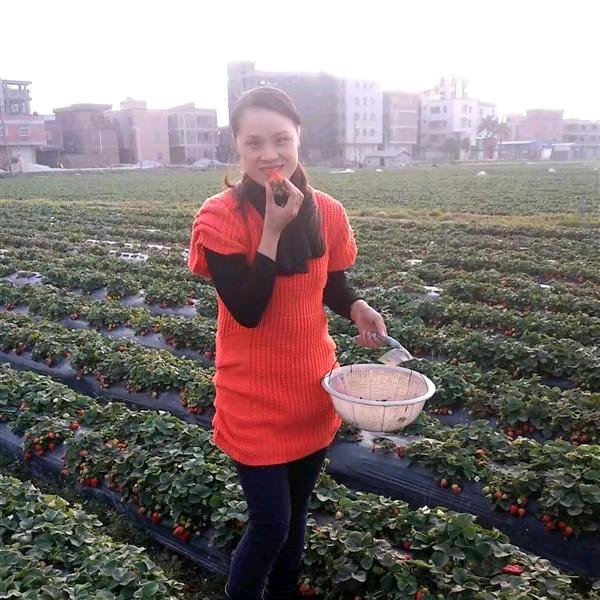 吴所谓