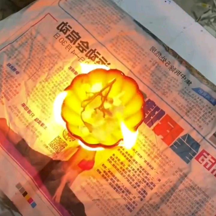 二凤子