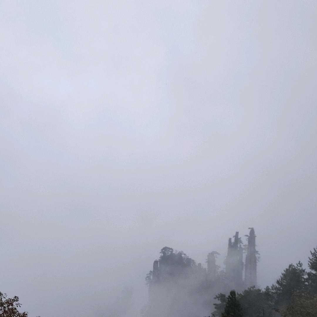 一帆风顺666