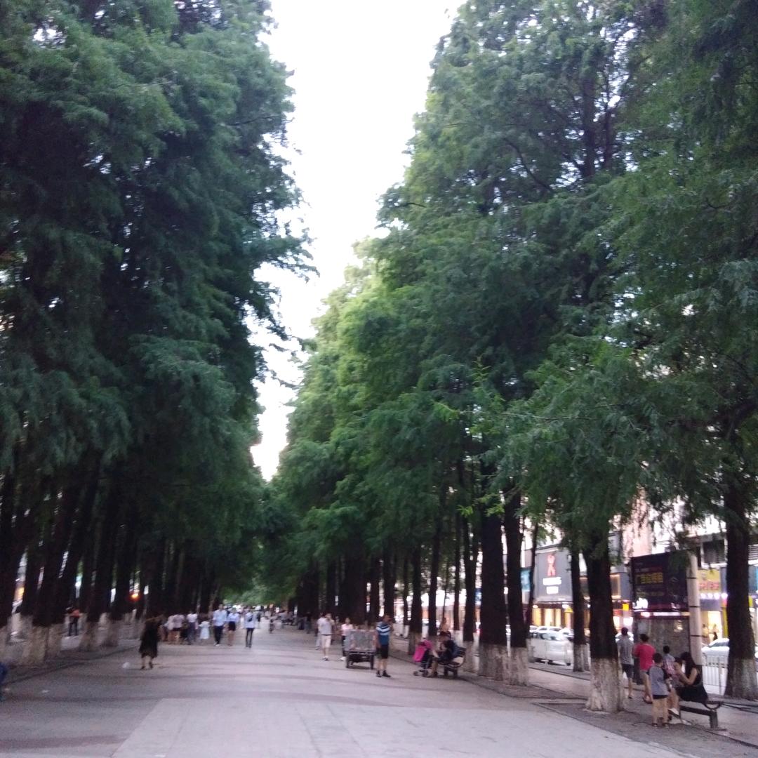 燕婷