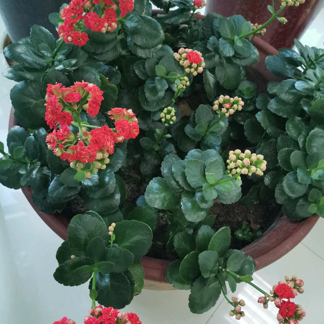 图腾(美丽沂蒙)