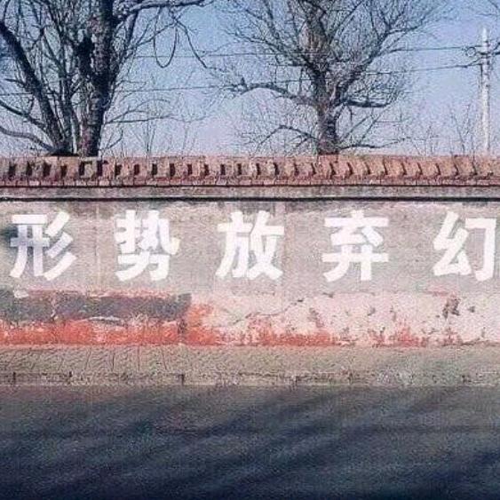 泰康LDM