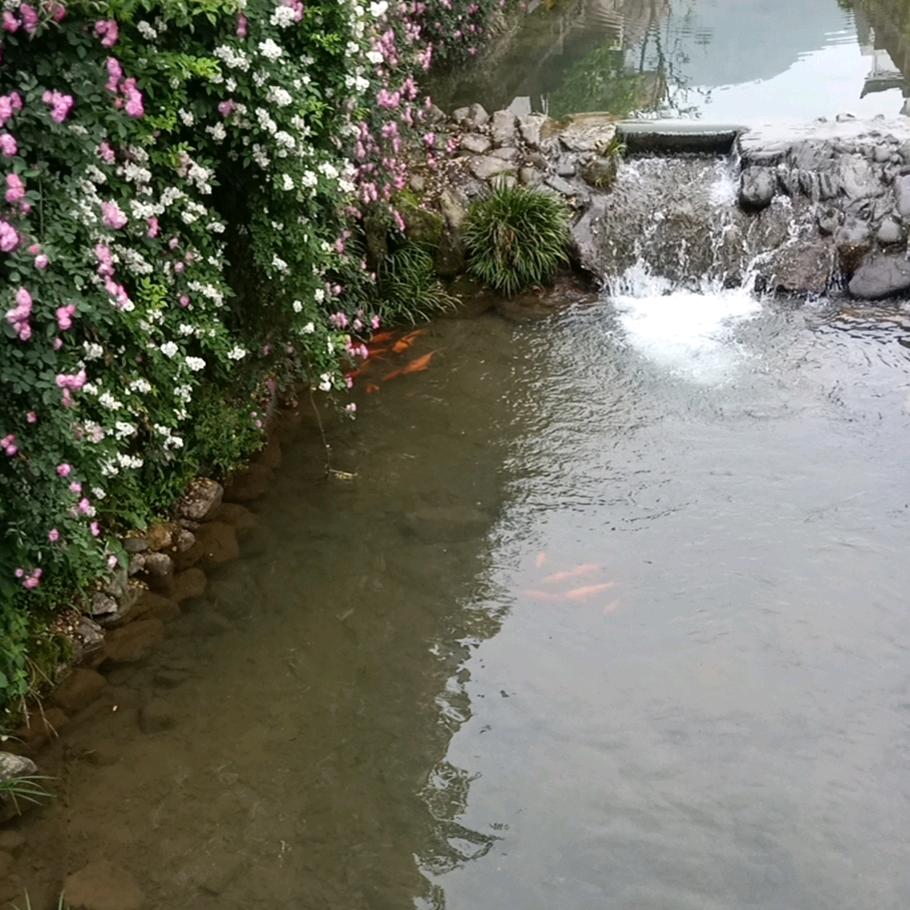 浦江雅迪城北店 仙华路117号